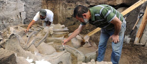 Restos de mamut Restos de mamut - Sputnik Mundo