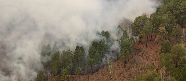 Incendios forestales en Lejano Oriente ruso - Sputnik Mundo