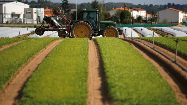 USAID dona a la FAO $15 millones para mejorar obtención de datos agrícolas - Sputnik Mundo