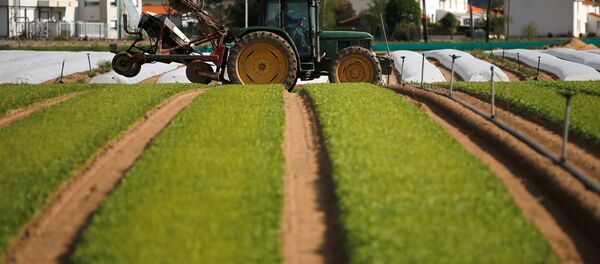 Un tractor en unos cultivos (imagen referencial) - Sputnik Mundo