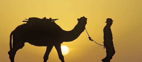 Un camello con su amo - Sputnik Mundo