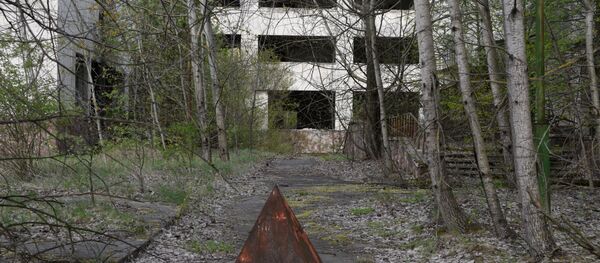 La zona de exclusión de la central nuclear de Chernóbil - Sputnik Mundo