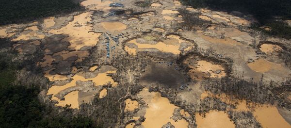 Contaminación con mercurio en Perú - Sputnik Mundo