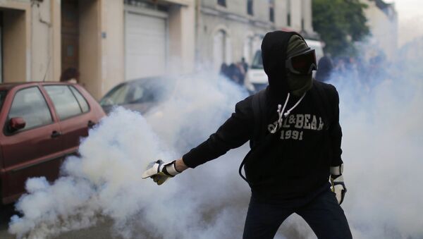 Un manifestante francés - Sputnik Mundo