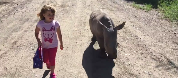 Una niña saca a pasear a una cría de rinoceronte blanco - Sputnik Mundo