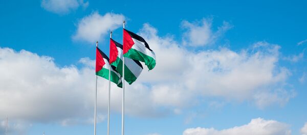 Bandera de Palestina - Sputnik Mundo