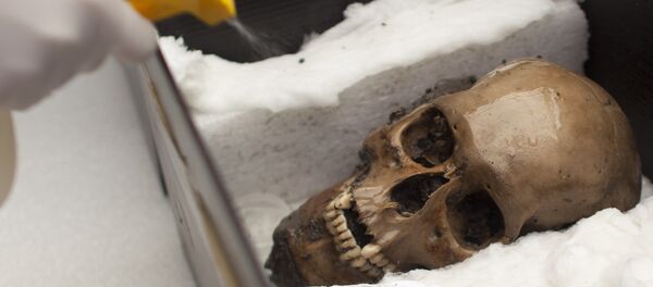 Un arqueólogo pulveriza agua en un cráneo descubierto en el Templo Mayor en la Ciudad de México, en 2012. - Sputnik Mundo