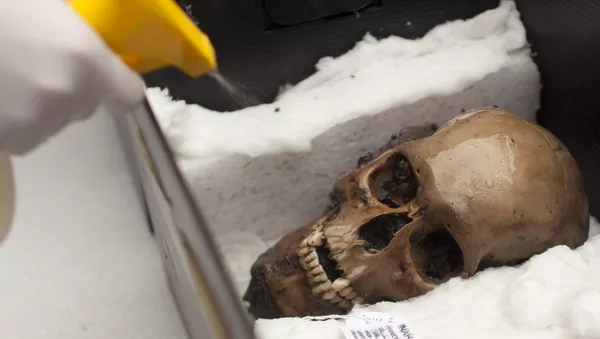 Un arqueólogo pulveriza agua en un cráneo descubierto en el Templo Mayor en la Ciudad de México, en 2012. - Sputnik Mundo