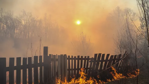 Incendio forestal - Sputnik Mundo