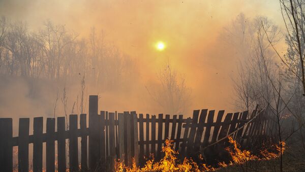 Incendio forestal - Sputnik Mundo