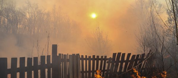 Incendios forestales en Lejano Oriente de Rusia Incendios forestales en Lejano Oriente de Rusia - Sputnik Mundo