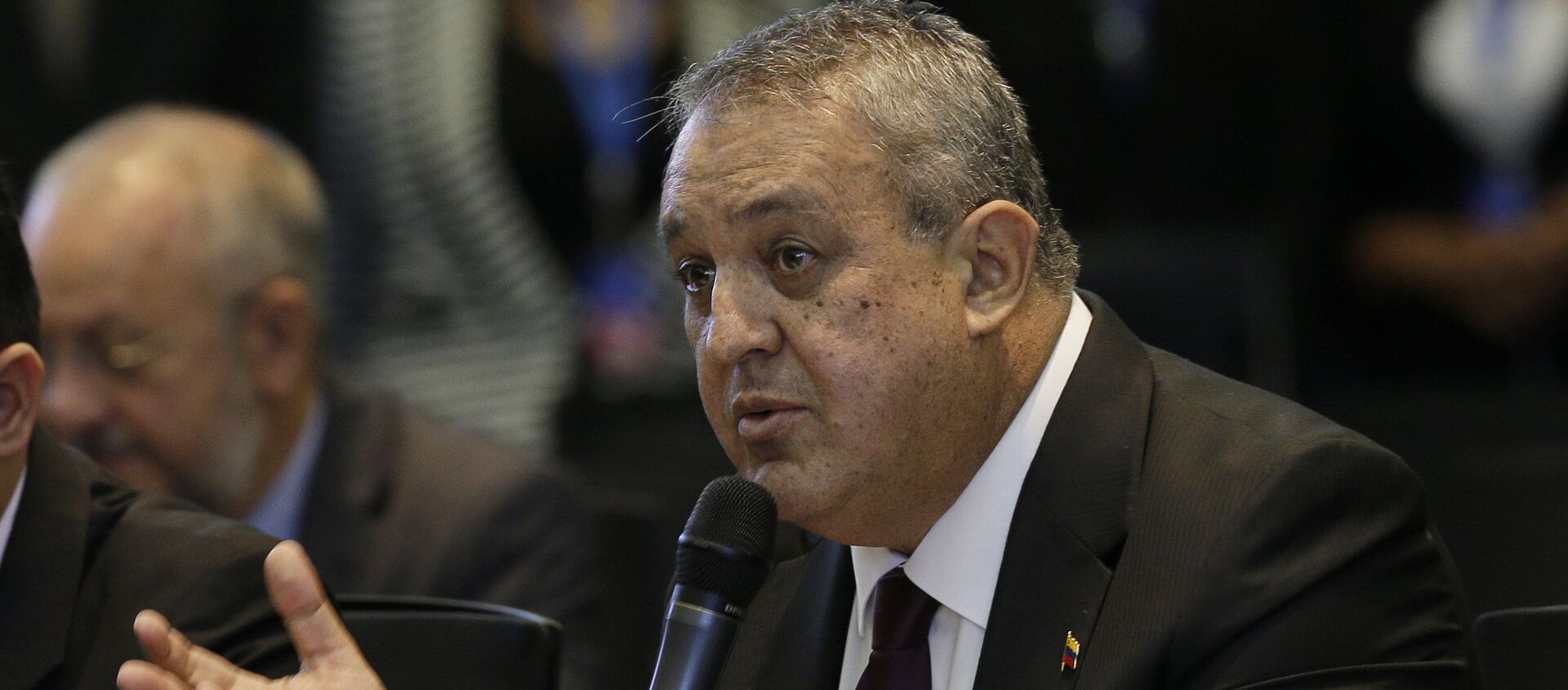 Venezuela's Oil Minister Eulogio del Pino adresses oil ministers and delegates from Colombia and Ecuador regarding the next OPEC meeting Venezuela's Oil Minister Eulogio del Pino adresses oil ministers and delegates from Colombia and Ecuador regarding the next OPEC meeting - Sputnik Mundo, 1920, 09.02.2021