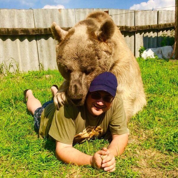 El oso Stepán  - Sputnik Mundo