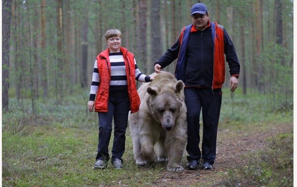 El oso Stepán - Sputnik Mundo