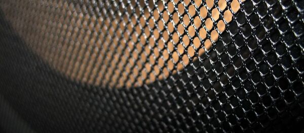 Un altavoz Un altavoz - Sputnik Mundo