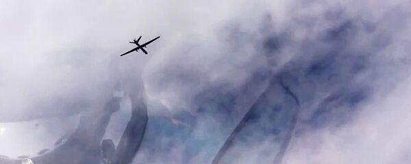 Un aparato aéreo no tripulado - Sputnik Mundo
