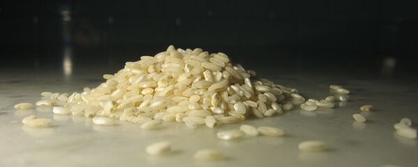 Arroz (imagen referencial) Arroz (imagen referencial) - Sputnik Mundo
