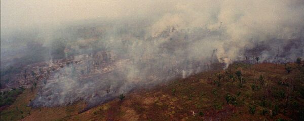 Incendio forestal en el distrito de Petén guatemalteco (archivo) - Sputnik Mundo