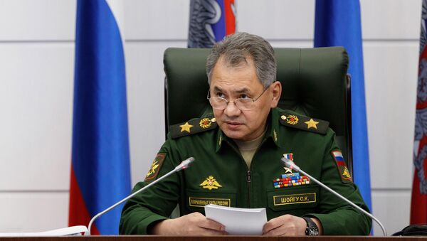 Serguéi Shoigú, ministro de Defensa de Rusia - Sputnik Mundo