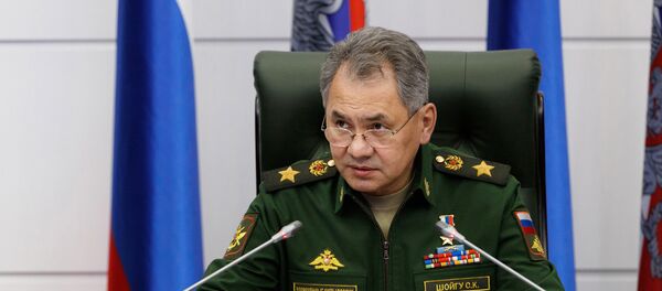 Serguéi Shoigú, ministro de Defensa de Rusia - Sputnik Mundo