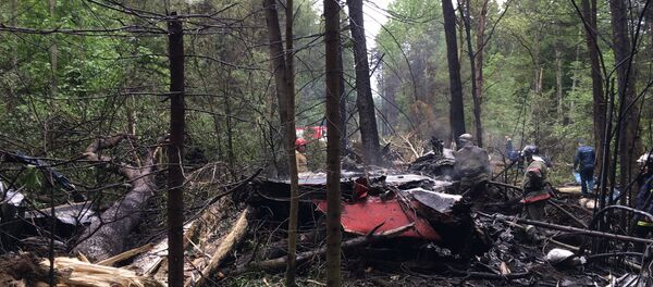 El siniestro del avión Su-27 en la región de Moscú - Sputnik Mundo