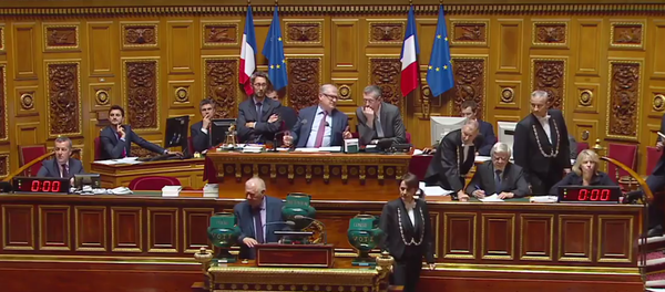 El Senado de Francia aprobó una resolución que exhorta a aliviar las sanciones contra Rusia - Sputnik Mundo