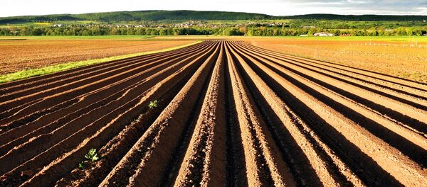 Tierra agrícola en Alemania - Sputnik Mundo
