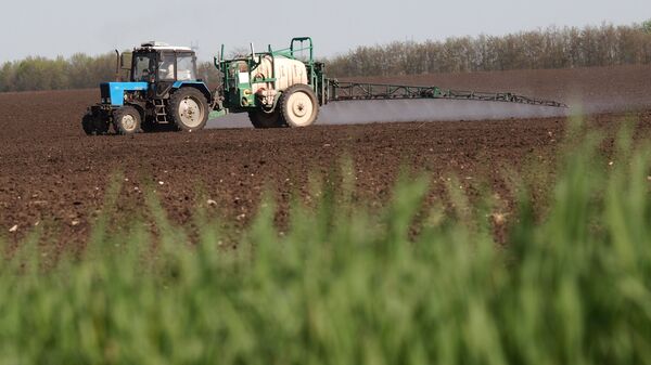 Agricultura (imagen referencial) - Sputnik Mundo