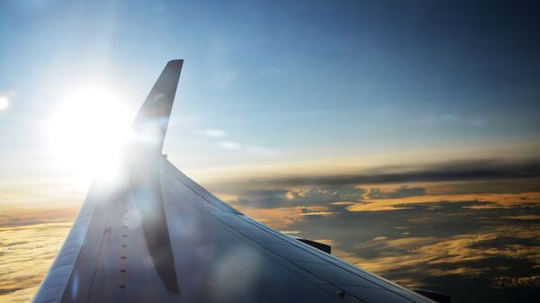 La vista desde el avión - Sputnik Mundo