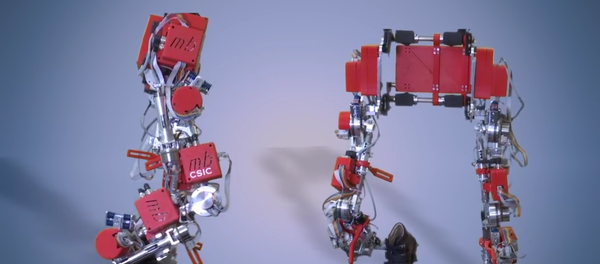 Exoesqueleto que ayuda a los niños con paraplejia a caminar - Sputnik Mundo