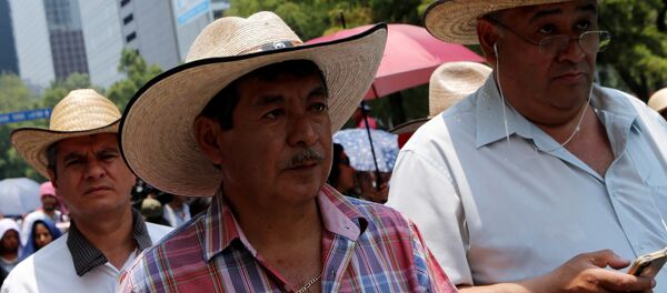 Rubén Núñez, líder de CNTE - Sputnik Mundo