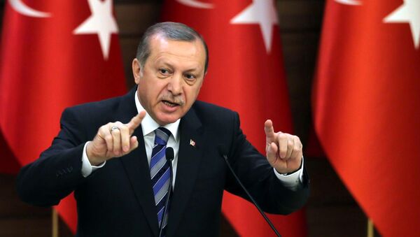 Recep Tayyip Erdogan, presidente de Turquía (archivo) - Sputnik Mundo