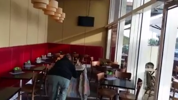 Captan a un canguro en un café de Australia - Sputnik Mundo