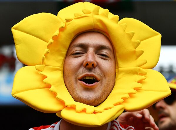 Así vibran de emoción los hinchas en la Eurocopa Así vibran de emoción los hinchas en la Eurocopa - Sputnik Mundo