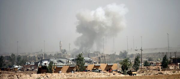 Combates en la ciudad iraquí de Faluya - Sputnik Mundo