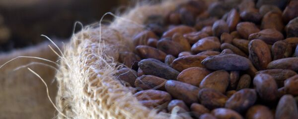 Cacao (imagen referencial) - Sputnik Mundo