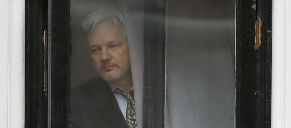 Julian Assange - Sputnik Mundo