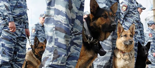 Perros de la Unidad Canina de Rescate del Ministerio de Situaciones de Emergencias de Rusia - Sputnik Mundo