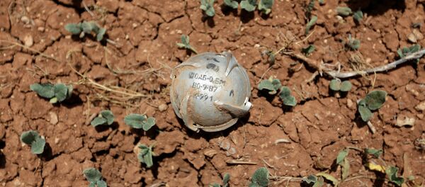 Bomba de racismo - Sputnik Mundo