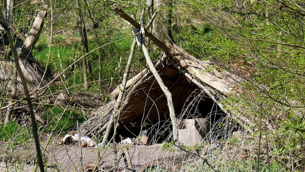 Edad de Piedra - Sputnik Mundo