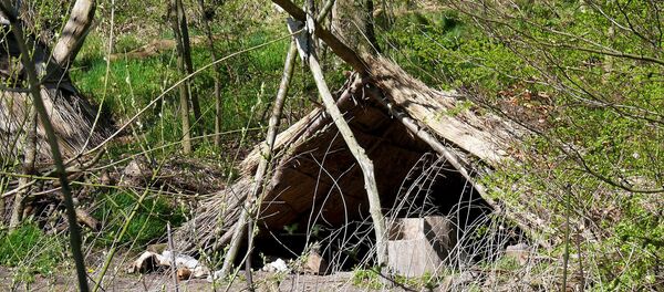 Edad de Piedra - Sputnik Mundo