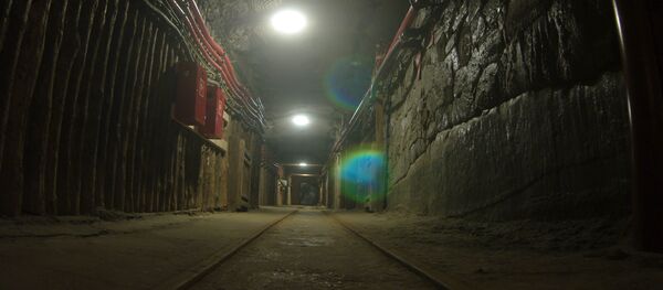 Una mina - Sputnik Mundo