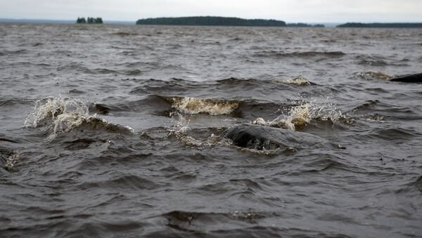 El lago de Siamózero en Carelia - Sputnik Mundo