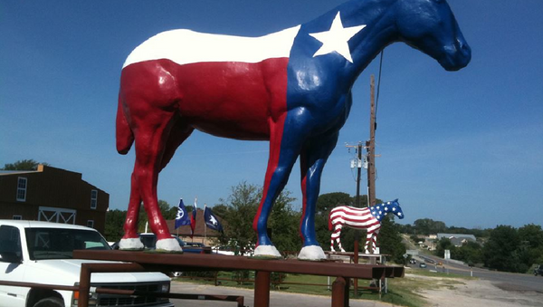 Por la independencia del estado de Texas - Sputnik Mundo