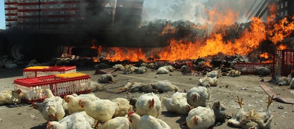 Consecuencias de disturbios en Oaxaca - Sputnik Mundo