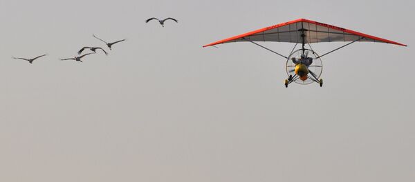 Un ultraligero (archivo) - Sputnik Mundo