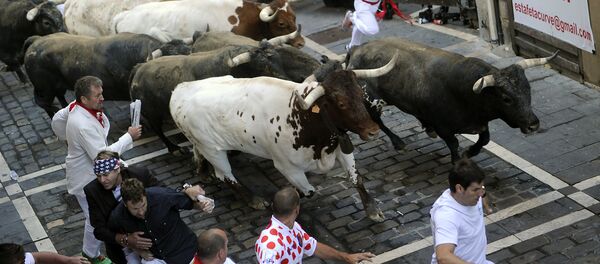 Celebraciones regionales de San Fermín de 2015. Archivo. Celebraciones regionales de San Fermín de 2015. Archivo. - Sputnik Mundo