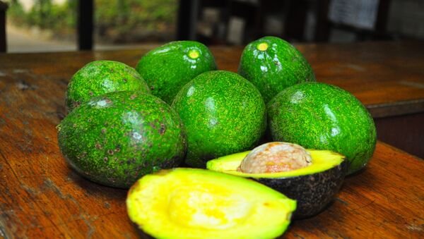 Aguacates (archivo) - Sputnik Mundo