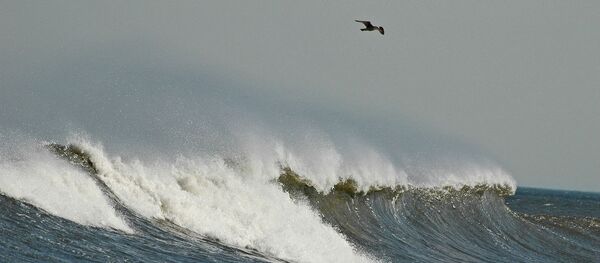 Olas - Sputnik Mundo