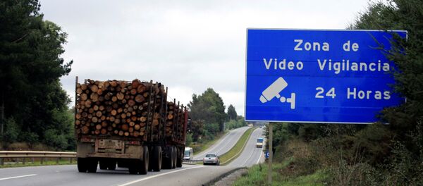 Un camión cargado de madera en la región chilena de La Araucanía - Sputnik Mundo
